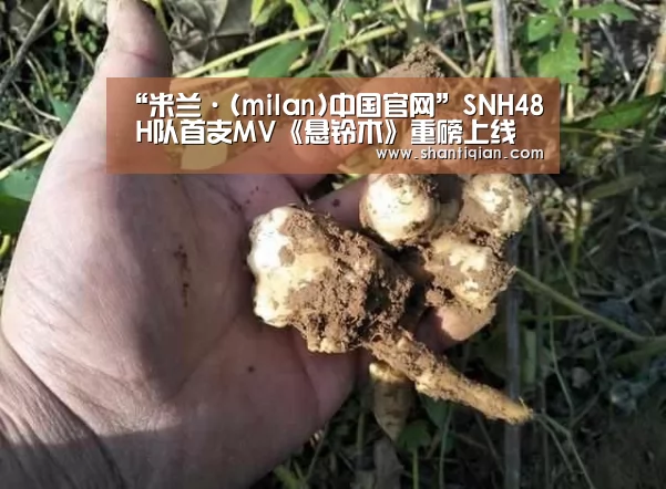 米兰官方网站