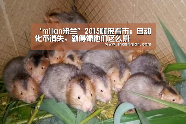milan米兰