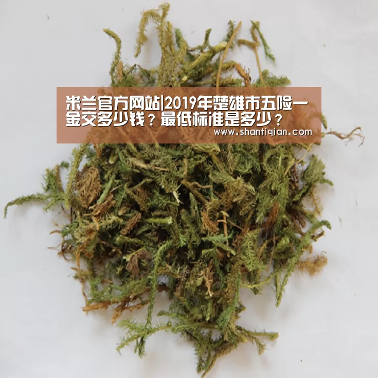 米兰·(milan)中国官网