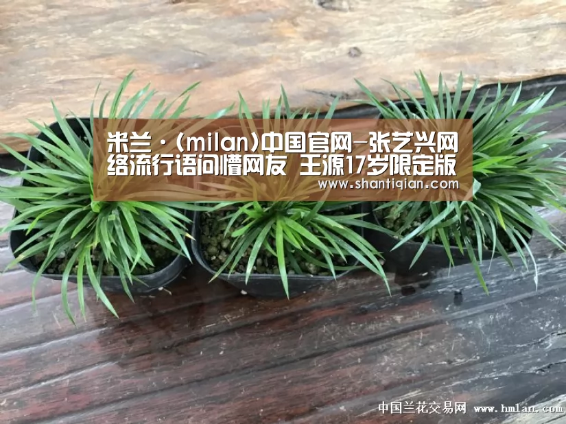 milan米兰
