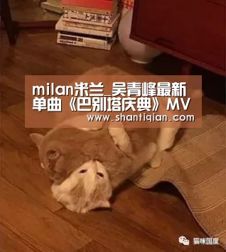 米兰官方网站