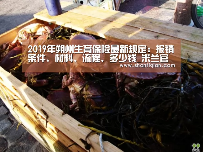 2019年朔州生育保险最新规定:报销条件、材料、流程、多少钱_米兰官方网站(图3) milan米兰