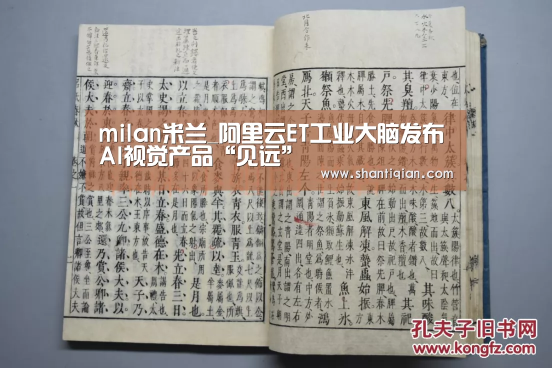 milan米兰_阿里云ET工业大脑发布AI视觉产品“见远”(图4) 米兰·(milan)中国官网
