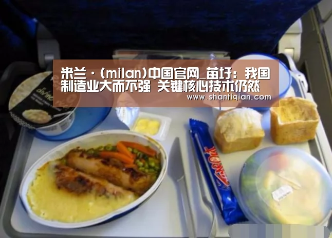 米兰·(milan)中国官网_苗圩:我国制造业大而不强 关键核心技术仍然缺乏(图1) milan米兰