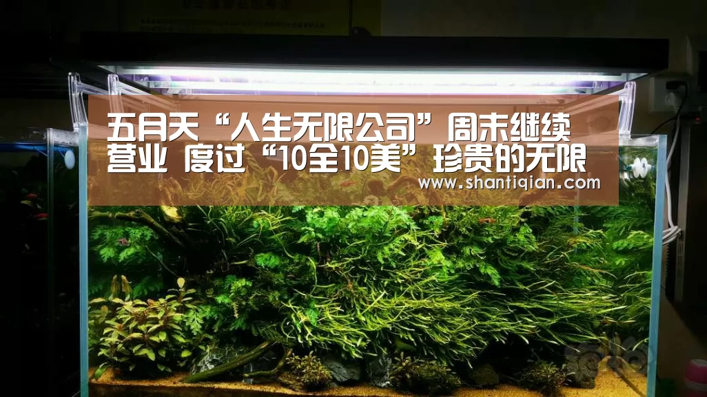 五月天“人生无限公司”周末继续营业 度过“10全10美”珍贵的无限自传‘米兰官方网站’(图3) 米兰官方网站