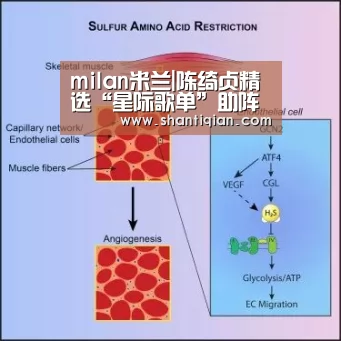 milan米兰|陈绮贞精选“星际歌单”助阵 回到《台北某个地方》画下完美句点(图1) milan米兰