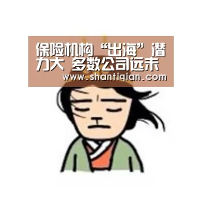保险机构“出海”潜力大 多数公司远未触及15%天花板“米兰·(milan)中国官网”(图2) milan米兰