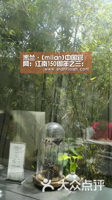 米兰·(milan)中国官网:江南150周年之三:《中国制造:从1865到2025》(图3) 米兰官方网站