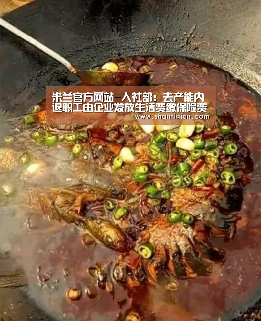米兰官方网站-人社部:去产能内退职工由企业发放生活费缴保险费(图1) milan米兰